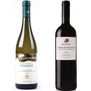 wine